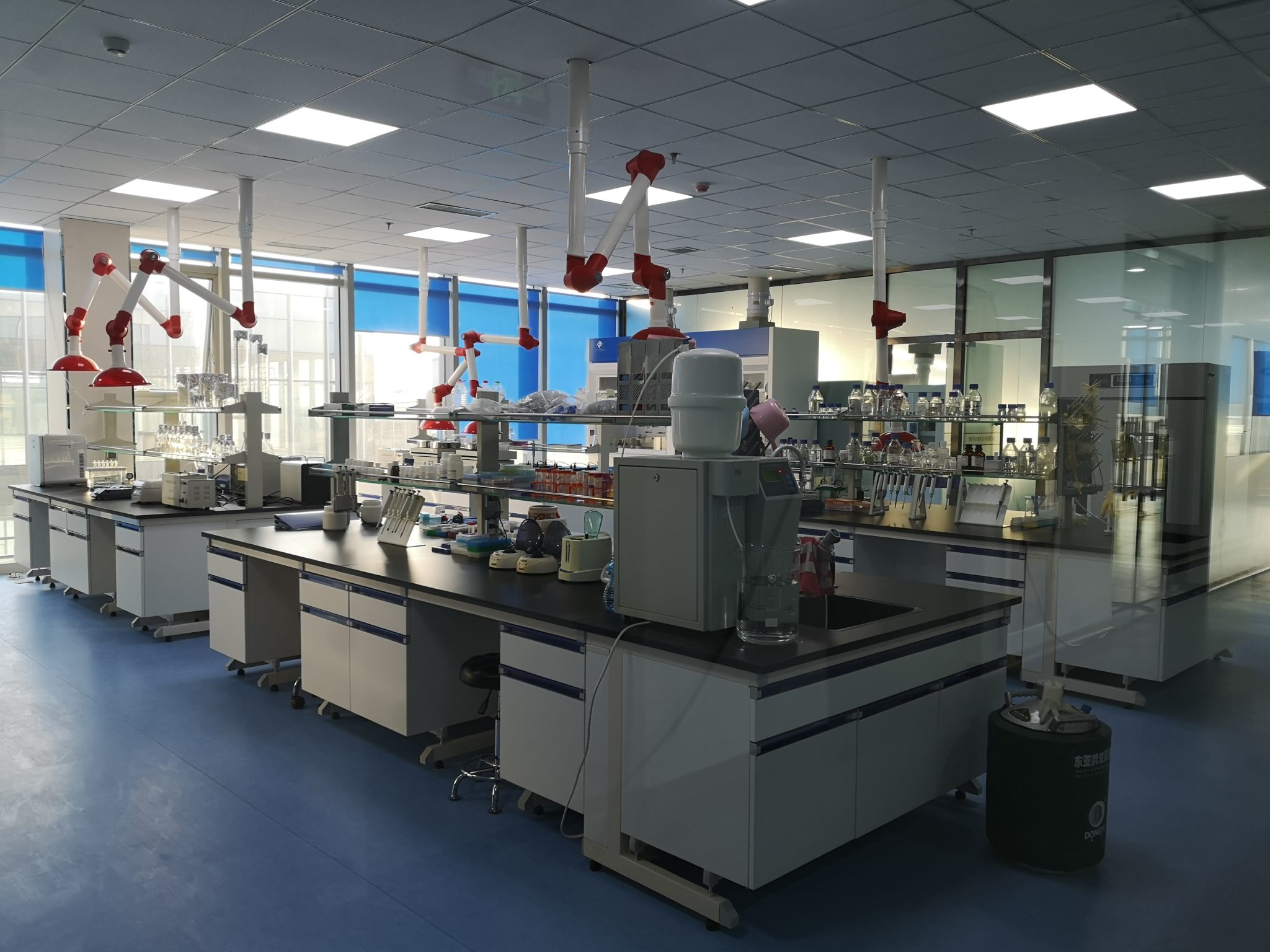 Racing Pigeon Performance DNA Testing Lab