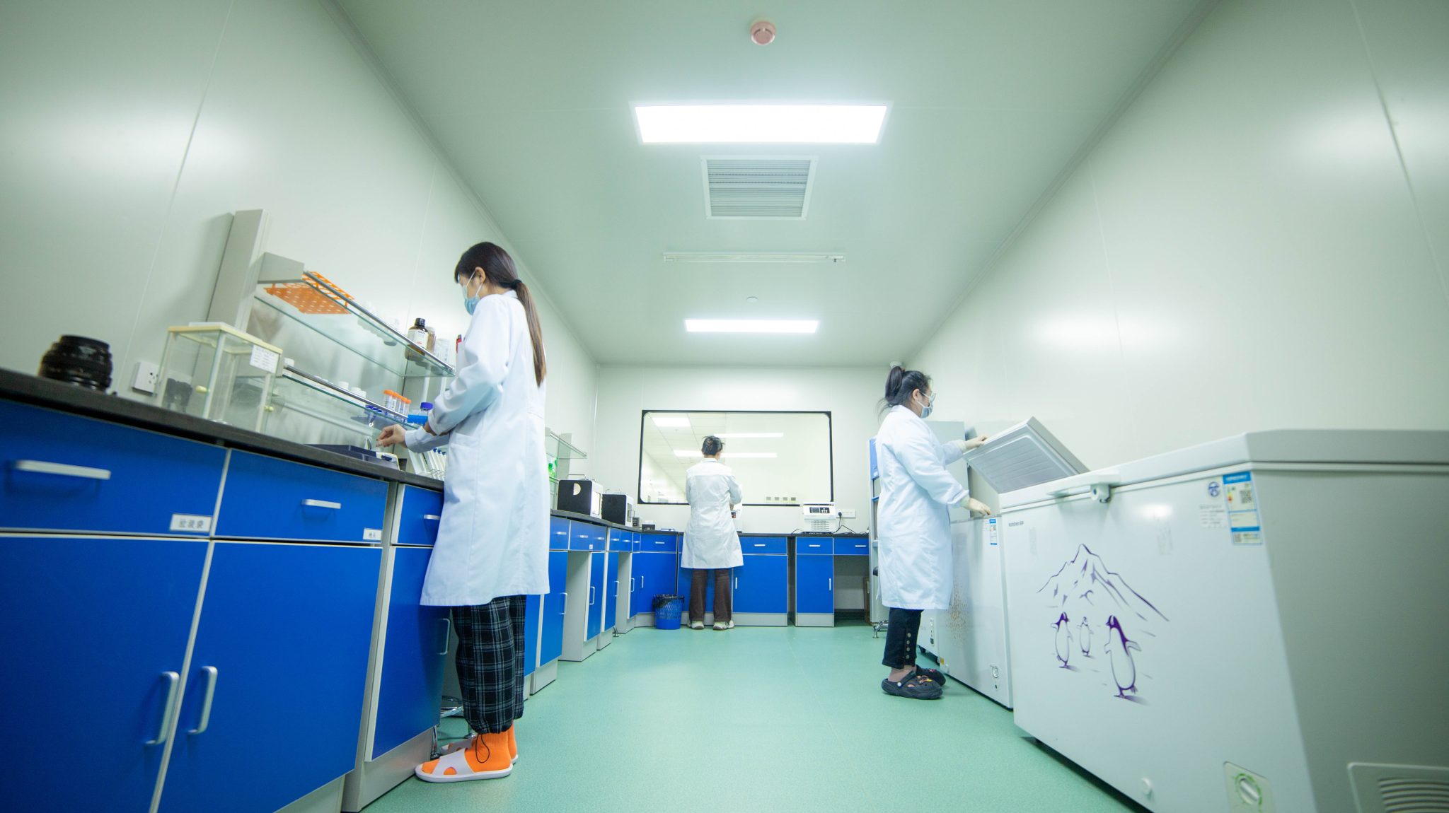 Racing Pigeon Performance DNA Testing Lab Racing Pigeon Performance DNA Testing Lab